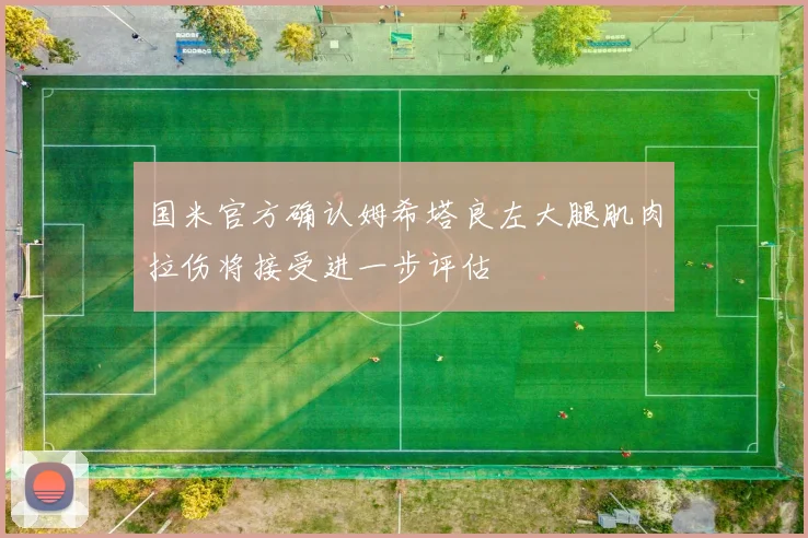 国米官方确认姆希塔良左大腿肌肉拉伤将接受进一步评估