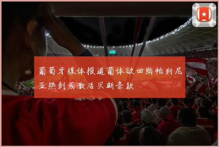 葡萄牙媒体报道葡体欲回购帕利尼亚热刺或激活买断条款