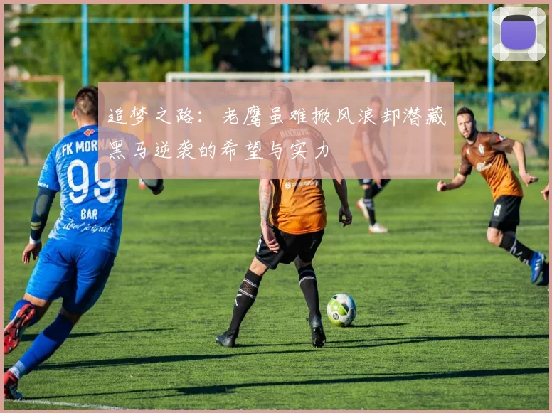 追梦之路：老鹰虽难掀风浪却潜藏黑马逆袭的希望与实力